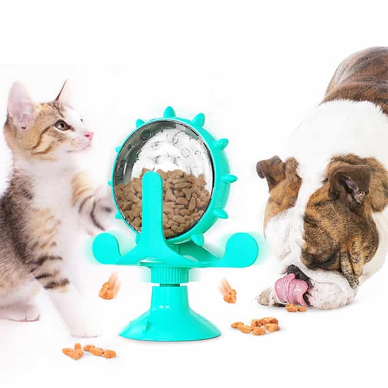 חתול וכלב אוכלים צעצוע מזון ממתקן צעצוע מזון.