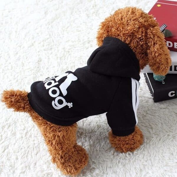 קפוצ'ון אדידוג לכלב לובש קפוצ'ון שחור.