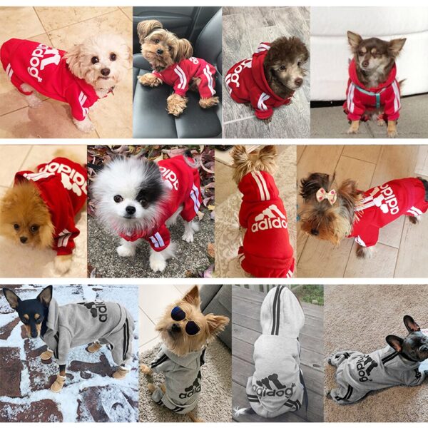 קולאז' תמונות של סט אדידוג לכלב בתלבושות שונות.