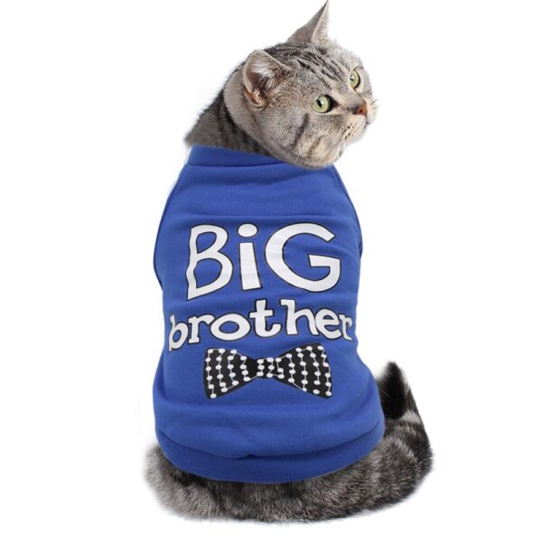 חתול שלובש חולצה מעוצבת שכתוב עליו אח גדול.