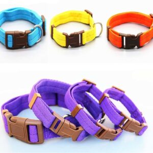 ארבעה קולרים איכותיים עם אבזמים.