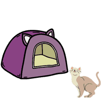 אוהל לחתול