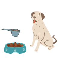 כוס מדידה אוכל לכלבים