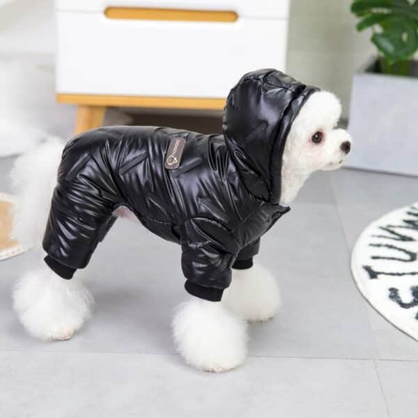 פודל שחור לובש בגד מעיל גשם לכלב.