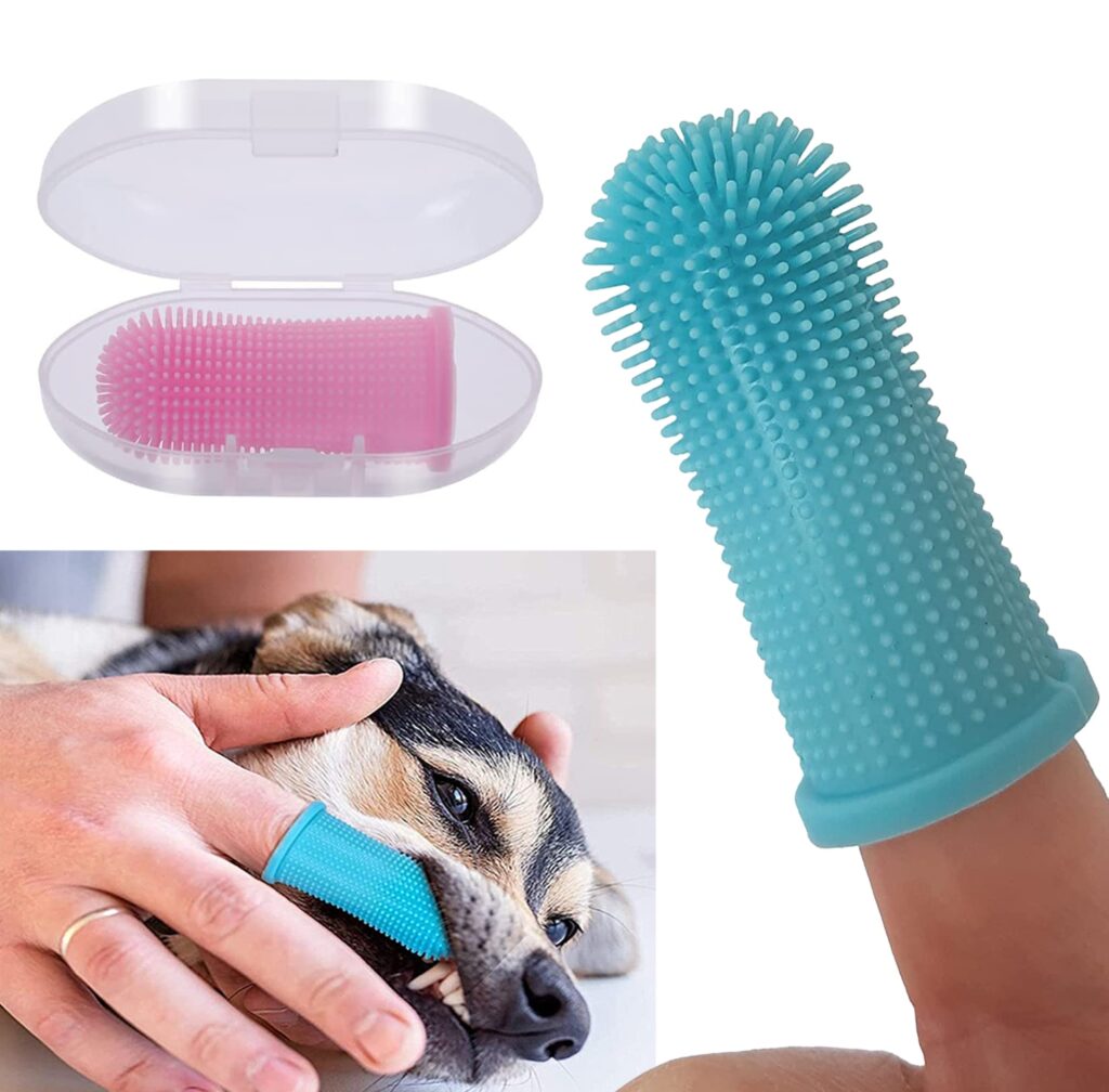 אדם מחזיק מברשת שיניים לכלבים ומיכל פלסטיק.