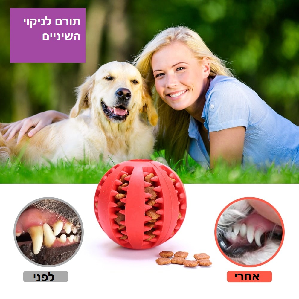אישה עם כלב לועס כדור לכלבים.