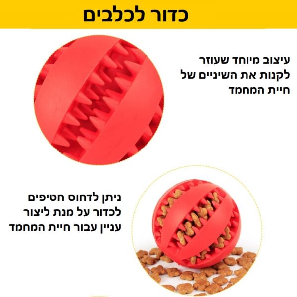 תמונה של כדור לכלבים בעברית.