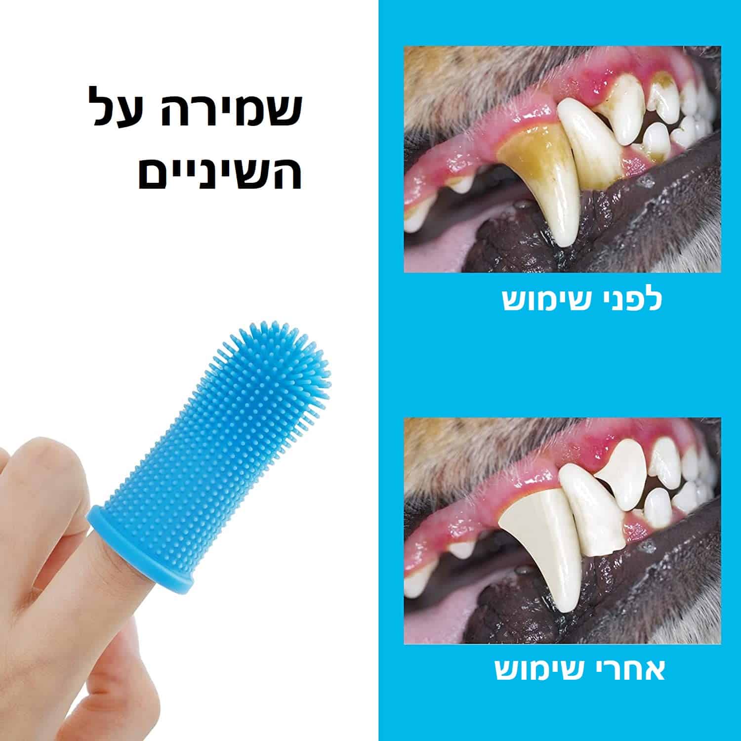 מברשת שיניים לכלבים דוגמא ללפני ואחרי השימוש