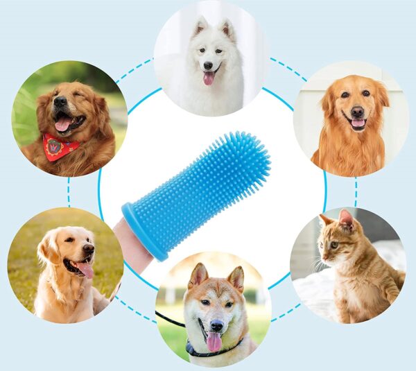 מברשת שיניים לכלבים בצבע כחול עם מספר תמונות של כלבים.