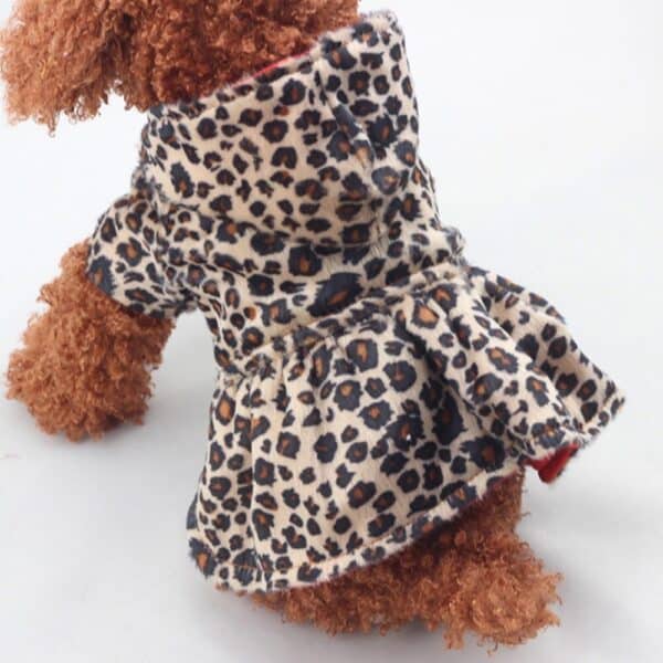 דובון לובש מעיל שמלה לכלבים.