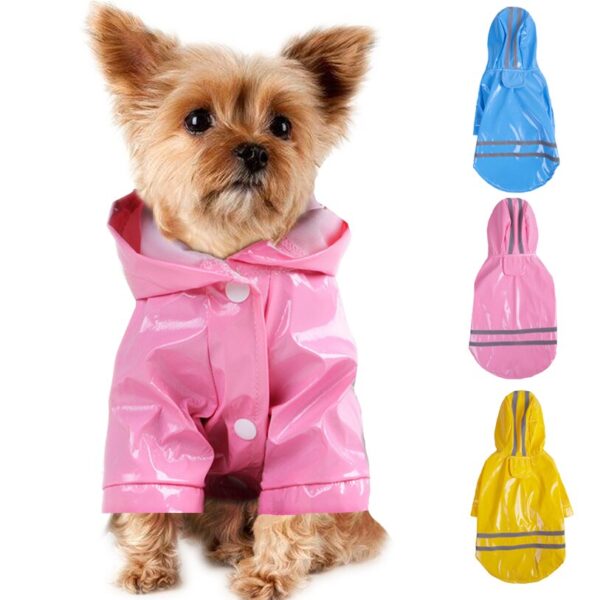 כלב לובש מעיל מבריק לכלבים בצבעים שונים.