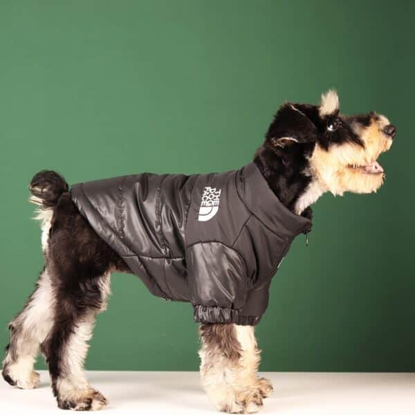 כלב לבוש ז'קט שחור ועליו לוגו מעיל פני הכלבים לכלבים.