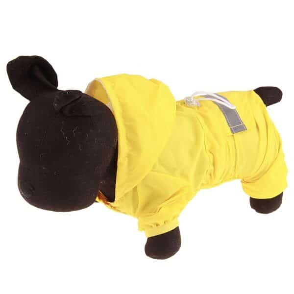 כלב קטן לובש מעיל גשם צהוב.