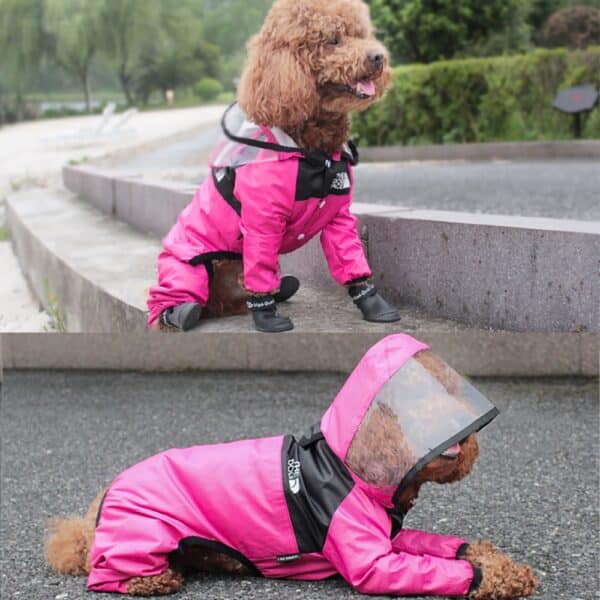שתי תמונות של כלב לובש מעיל גשם עם כובע לכלב.