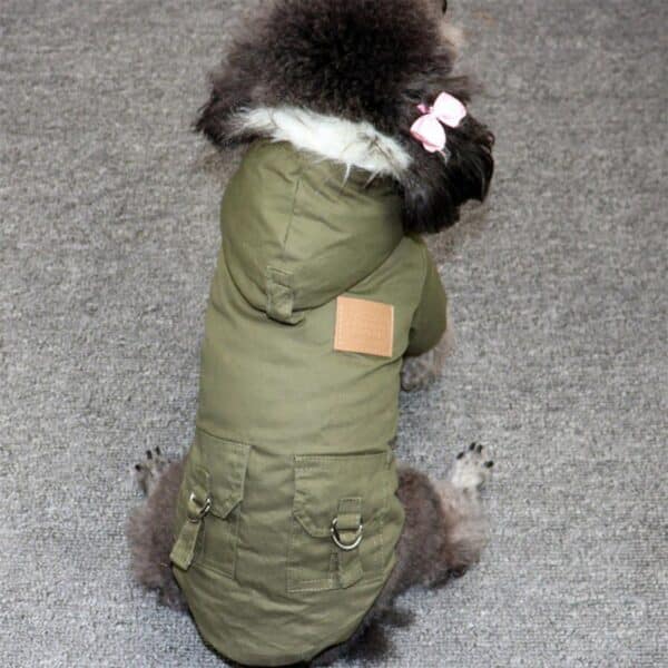 כלב קטן לובש מעיל פרווה לכלבים.