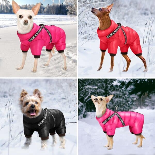 ארבע תמונות של כלבים לובשים מעיל גשם שומר חום לכלב בשלג.