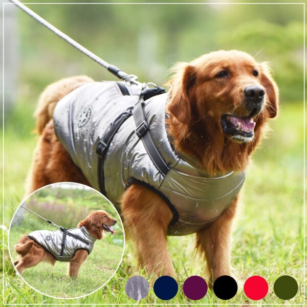 תמונה של מעיל אפוד לכלב לובש אפוד.