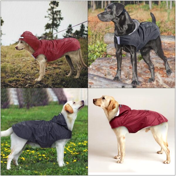 ארבע תמונות שונות של מעיל גשם עם כובע לכלבים לובשים מעילי גשם.
