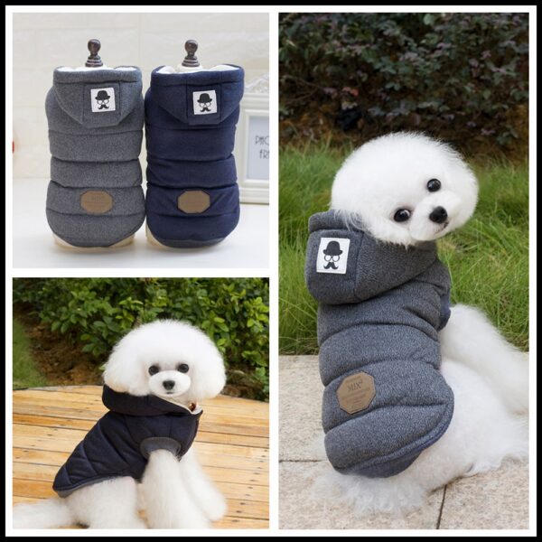 ארבע תמונות של סוודר מחמם לכלבים לבוש ז'קט ברדס.