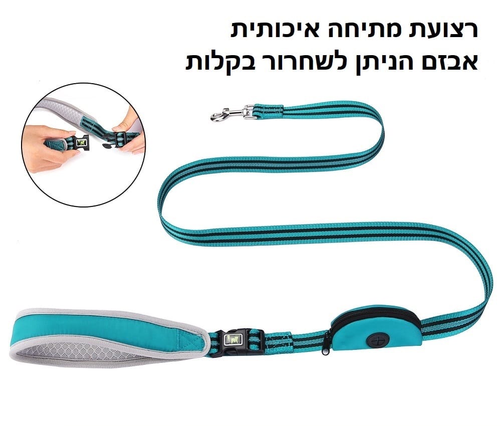 רצועה לכלבים עם פס כחול לבן.