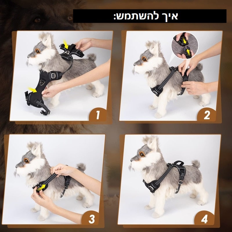 רתמה לכלבים איך להלביש