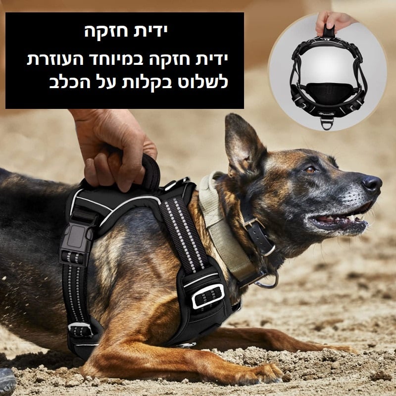 רתמה לכלבים ידית אחיזה
