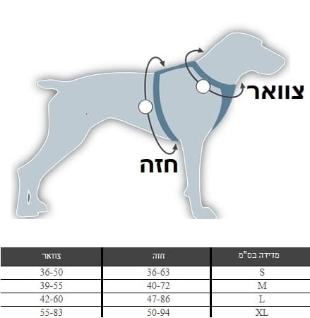 רתמה לכלבים מידות
