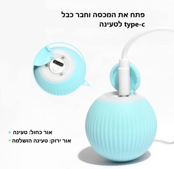 הטענת כדור חכם לחתול