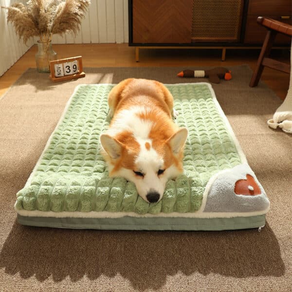 כלב מונח על גבי מיטת מזרן לכלבים.