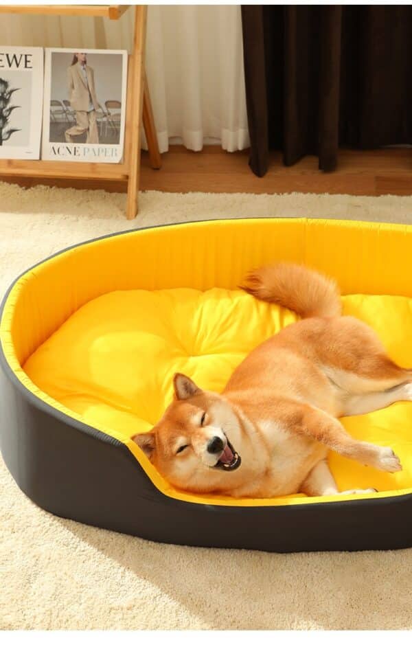 כלב מונח על מיטה מפנקת לכלבים גדולים וקטנים.