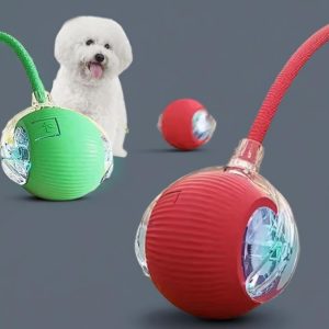 כלב לבן ורך יושב ליד שני צעצועים עגולים וצבעוניים עם אורות, אחד אדום ואחד ירוק, על רקע אפור אחיד.