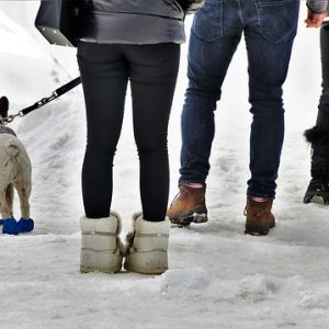 קבוצת אנשים מטיילים עם כלב בשלג כשהם נועלים מגפי כלבים חורפיים.