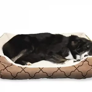 כלב יושן במיטה